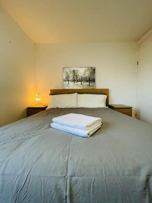 Lovely Duplex Apartment In Edinburgh City Centre Kültér fotó